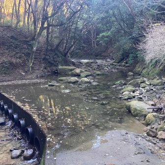 元清澄山登山口の渡渉ポイント。ここから入渓