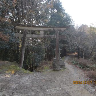 この石鳥居まで来てしまったからには、てんこ山から曼殊院への高速滑り台ルートです
日没との時間競争になりました
