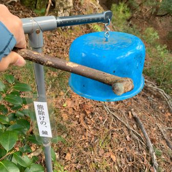 道中で熊の💩のようなものを見たので、打ち鳴らしてみた