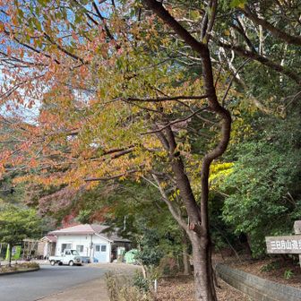 やっぱりトレーニングは平日の方がいいかな☺️
今日もお疲れ山でした⛰️🏃‍♂️