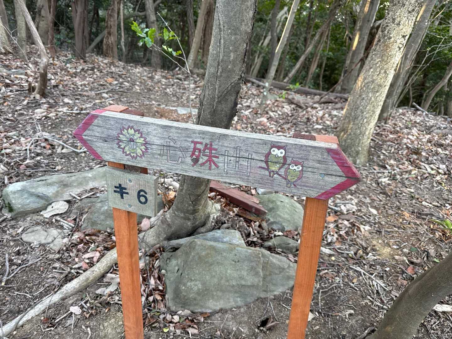 額堂山-森ヶ嶺-ふっこし峠-高野御前山-子安堂峠 周回コースの写真