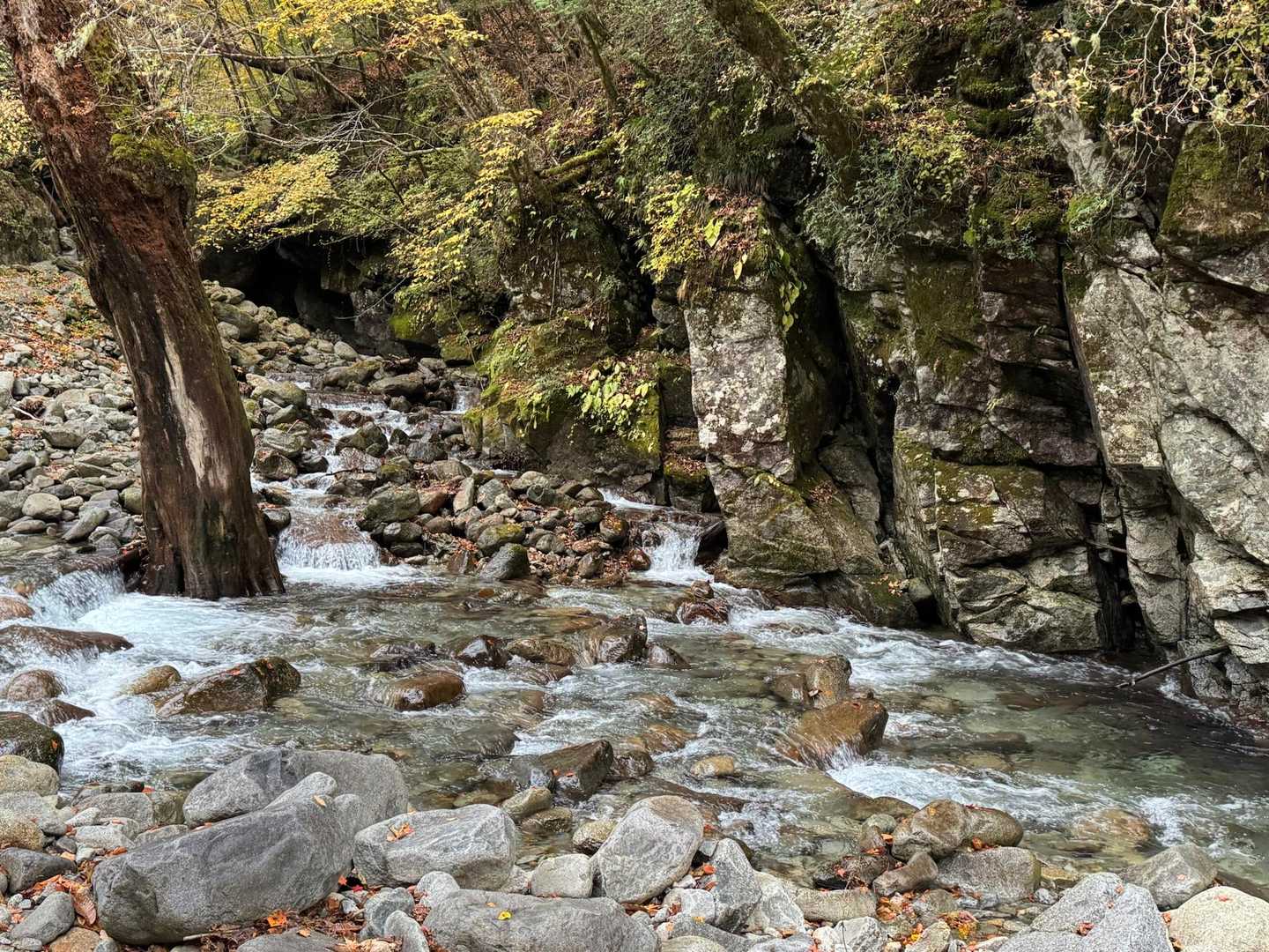 西沢渓谷入口バス停-ゲート-鶏冠山-木賊山 周回コースの写真