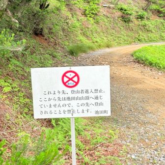 ご注意を⚠️