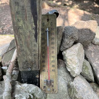 山頂で15℃ありますね。