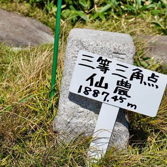 仙農って？