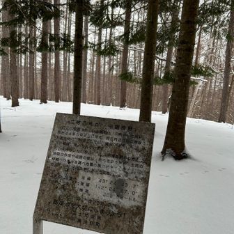 山頂標識はなし！