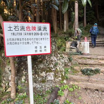 ここを登って行きます。