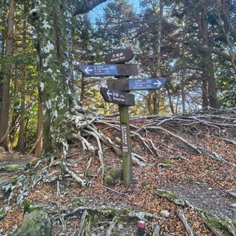 天城峠とうちゃく！標高830m