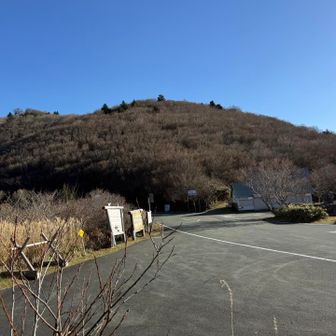 走り屋とかいそう🚗
もう絶滅したのかな？？