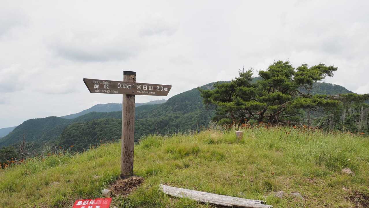 中央分水嶺トレイル（長門牧場〜白樺湖〜八島湿原〜三峰山〜美ヶ原）、2daysスルーハイク の写真 49