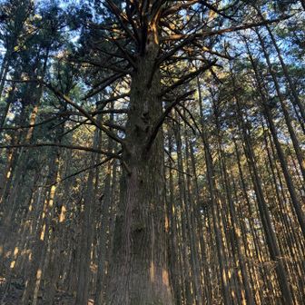 パワー、戴きました🙏