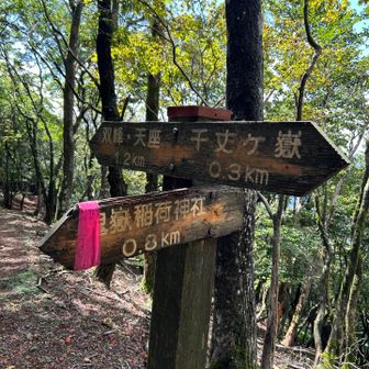 さくさく進む。
