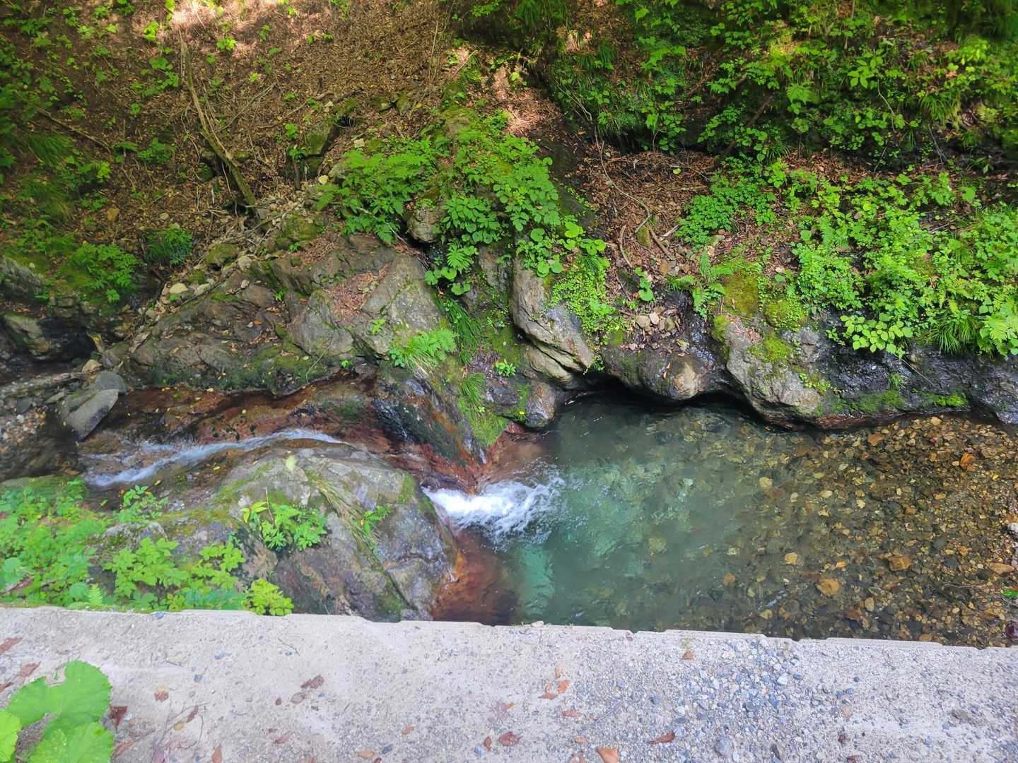 水が綺麗✨