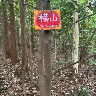 神社の裏山