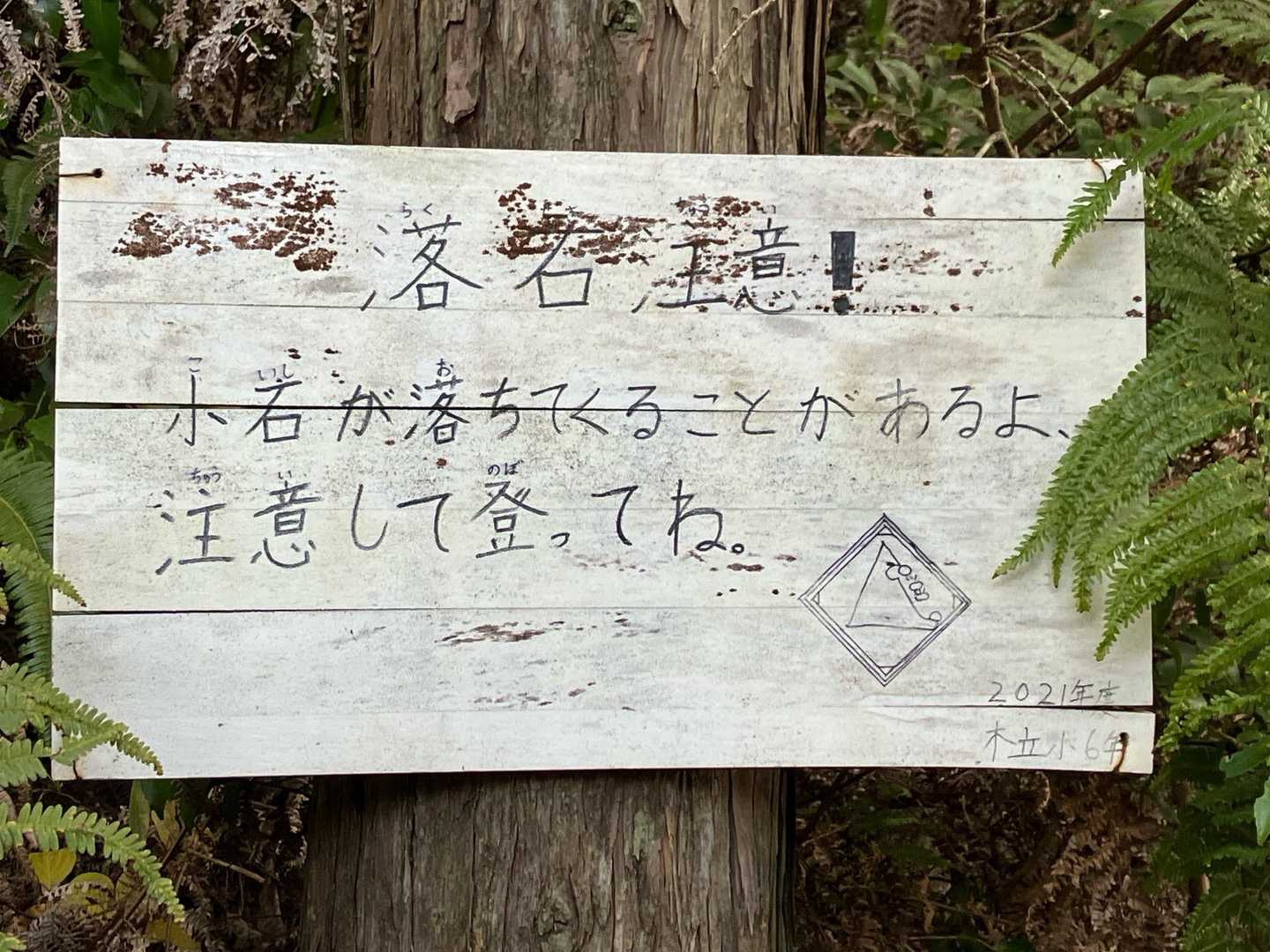 元越山 往復コースの写真