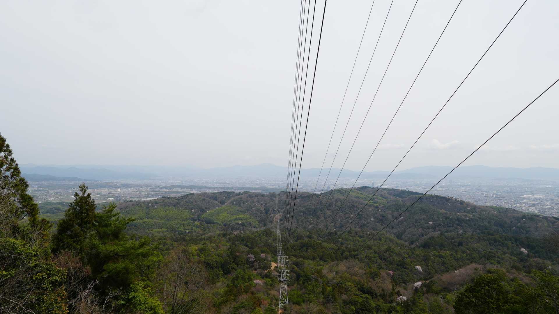 大沢山 往復コースの写真