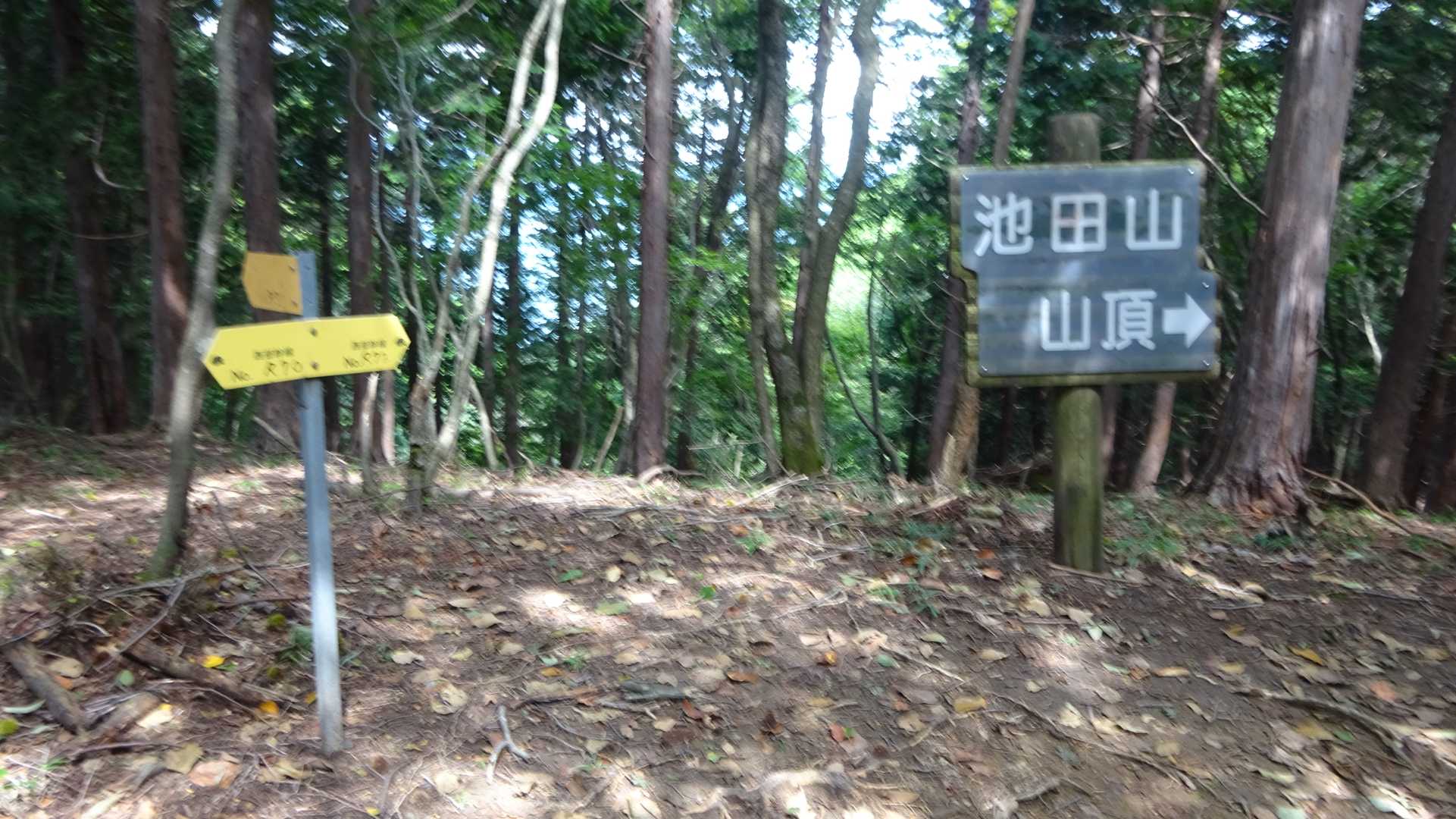 ✨ 鉄塔分岐と池田山山頂へ分岐