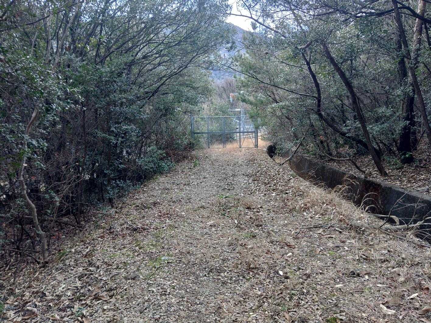 振り返って📸
柵を2つ越えて登ります🦖