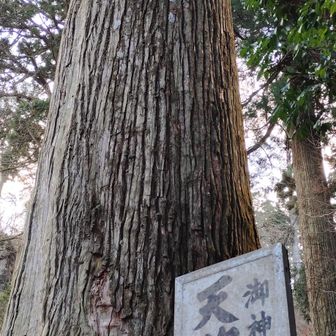 天狗杉さん、今年も宜しくお願いいたします！