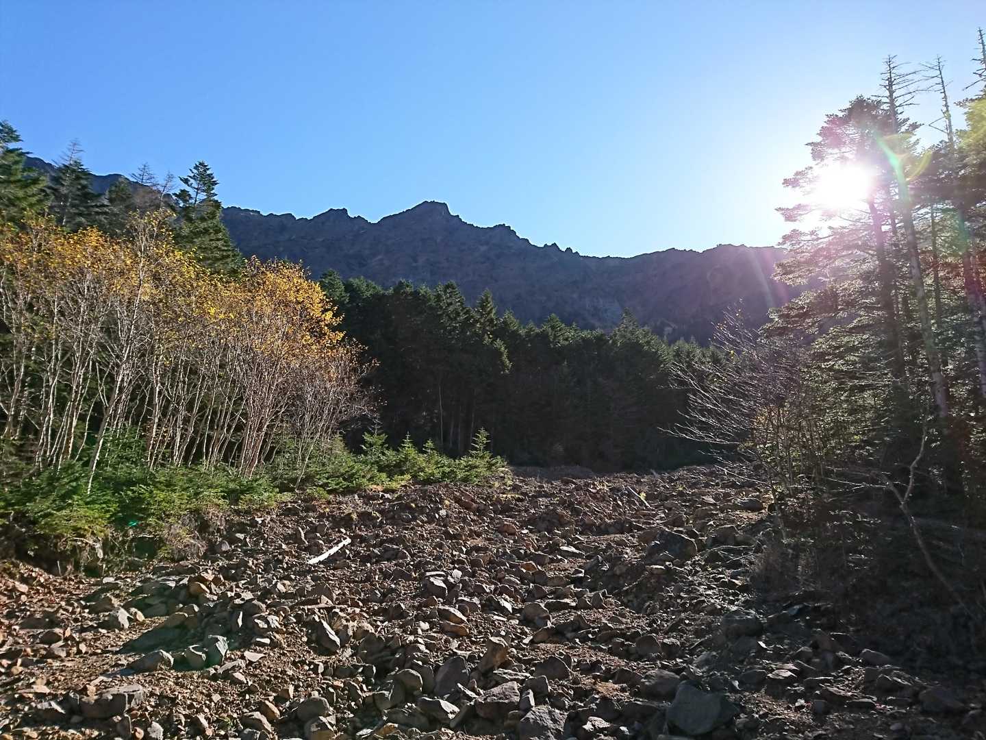 南沢コース、行者小屋まで淡々と樹林帯メインの道が続きます。たまにガレ場を歩きました。