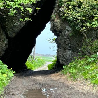 ときどきキャンパー