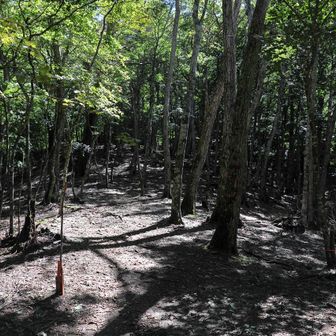 黒岳への上りは山頂に近づくにつれ急になるので既に一座登った後の脚に堪える。