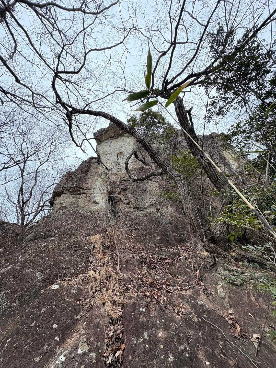 岩山 往復コースの写真