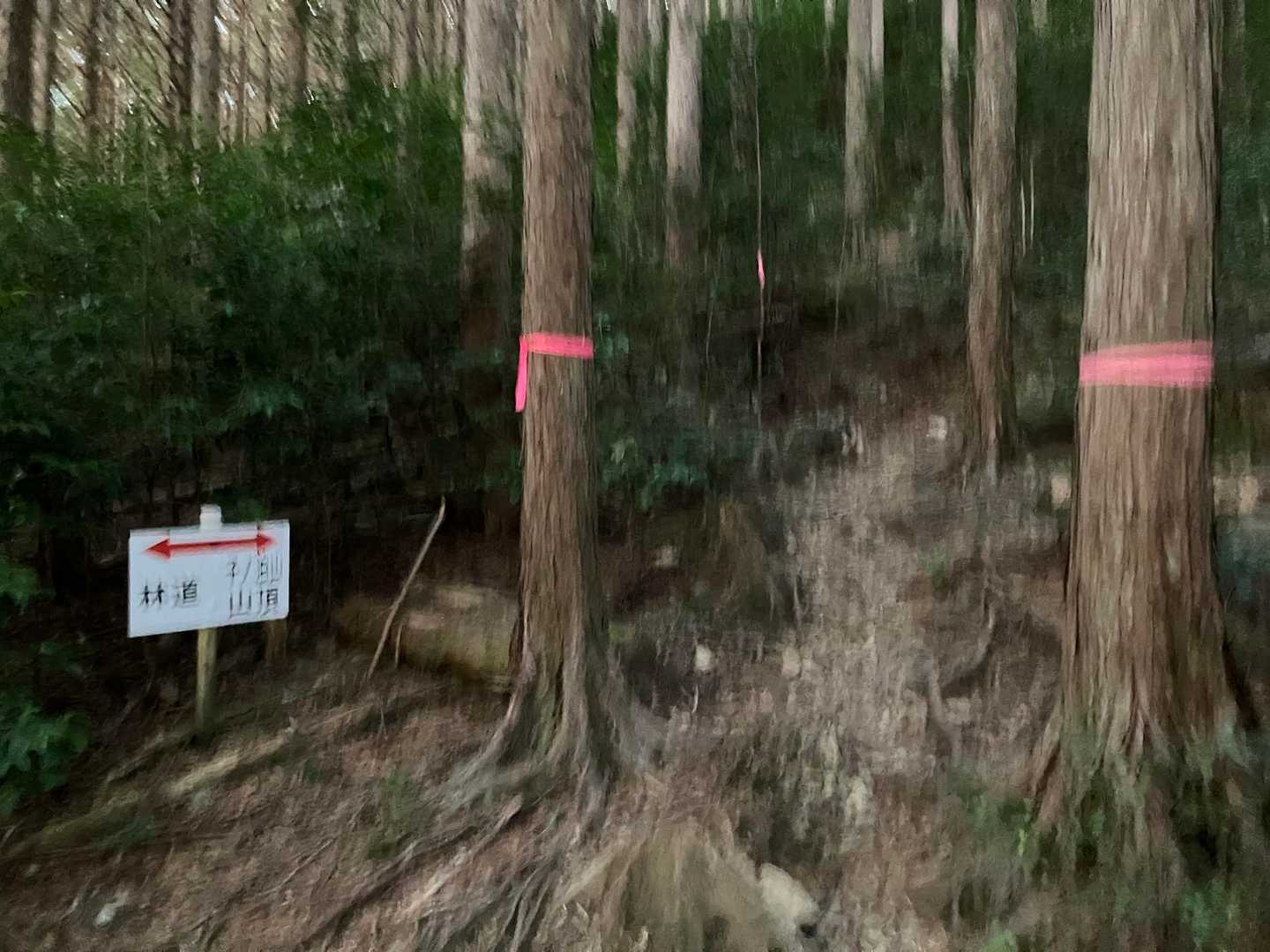 桐原側登山口-子ノ泊山 往復コースの写真