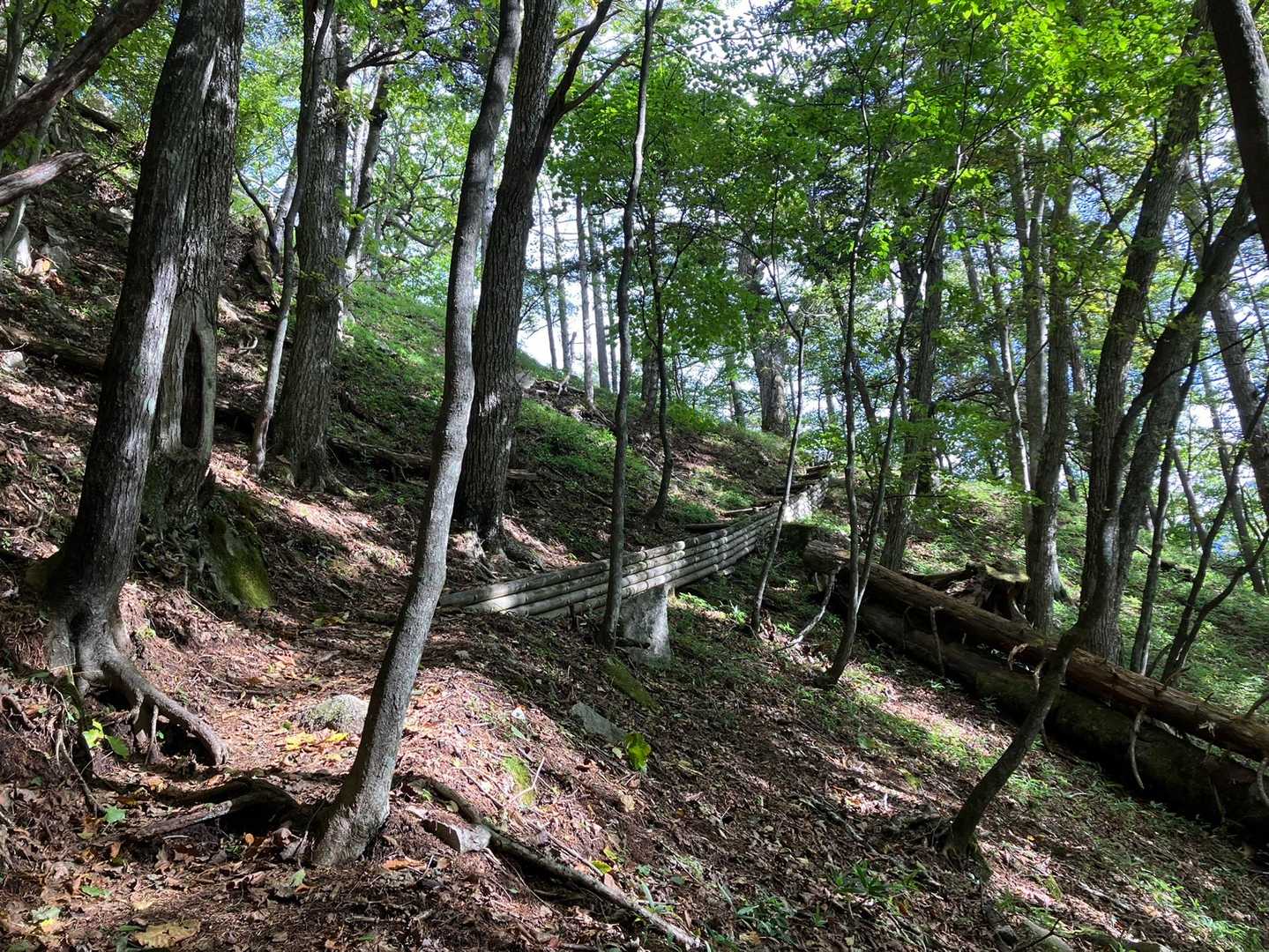 高山に向かって歩きます🚶‍♀️