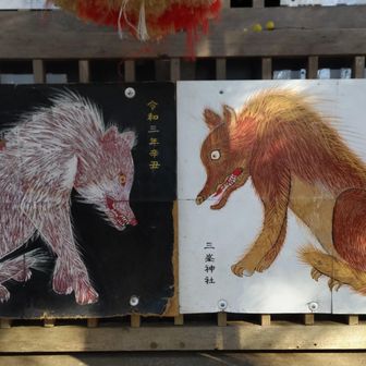 この絵がとても素敵でした。かっこいい〜
三峯神社が好きな私には、これを見られたことがgood luckでした。