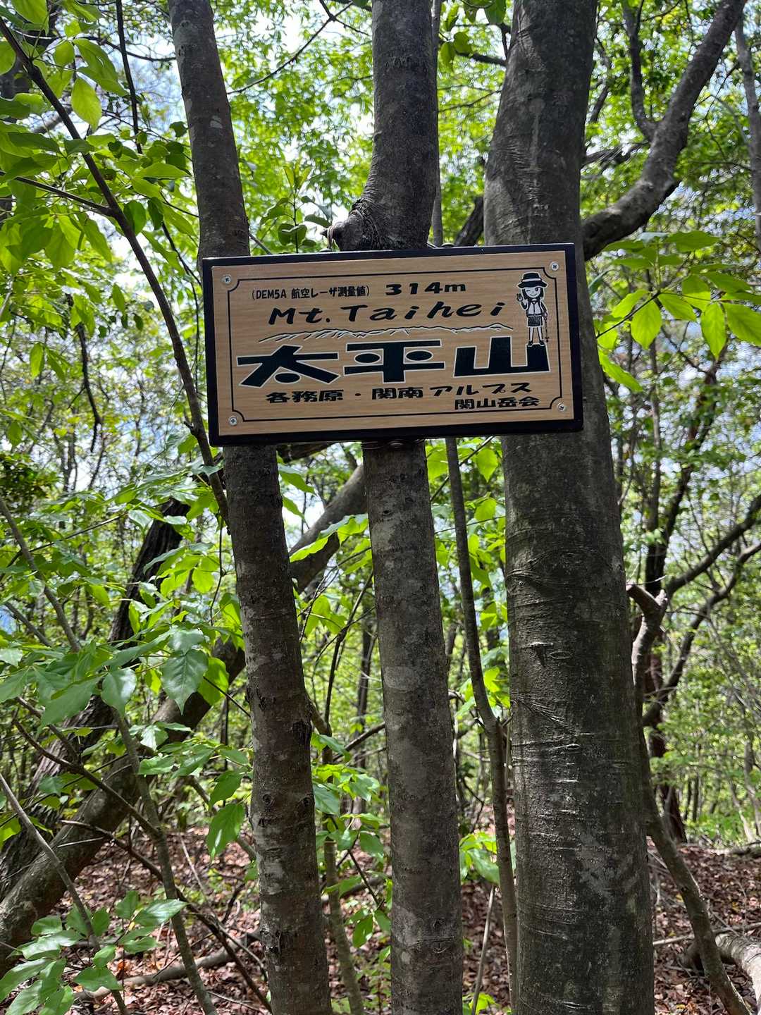 見晴台登山口-向山-須衛山-岩坂山-岩坂峠-金山 周回コースの写真