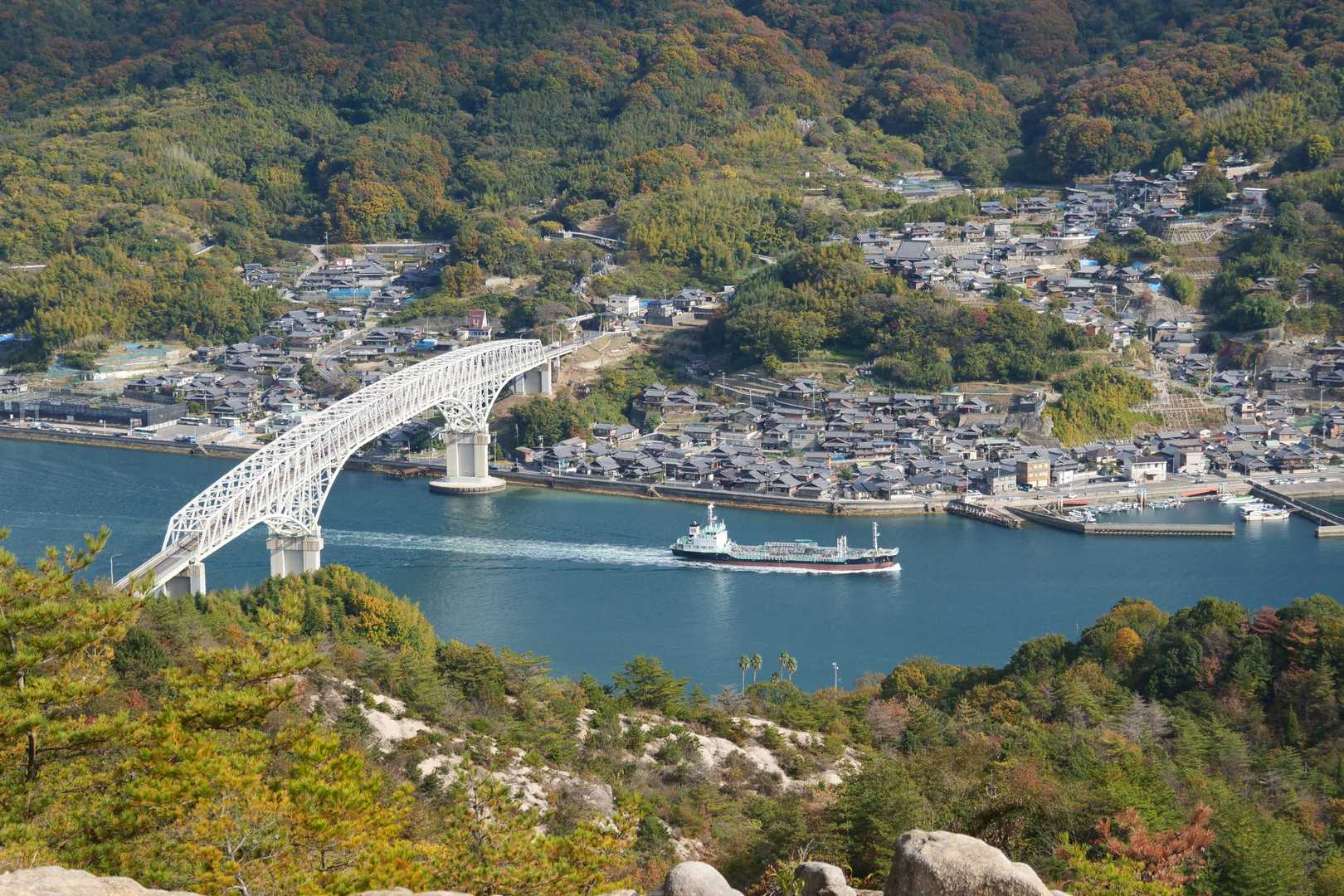 早瀬大橋を渡るのは20年ぶりくらい？以前はチヌ釣りに毎週のように来ていた。