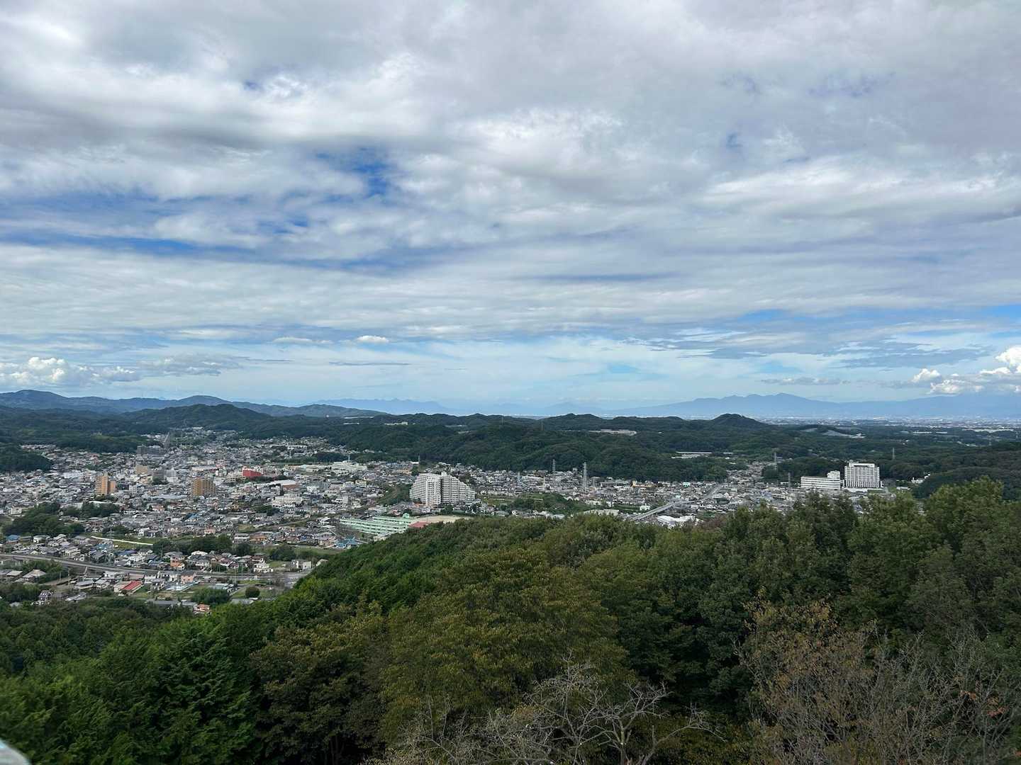 仙元山 往復コースの写真