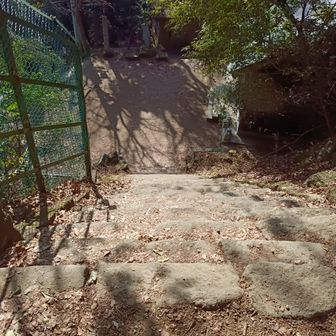 この階段が極めつけ。先日、階段で転倒してなくなった72歳の男性のことが思い出されます