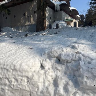 ここから、直行してしまった