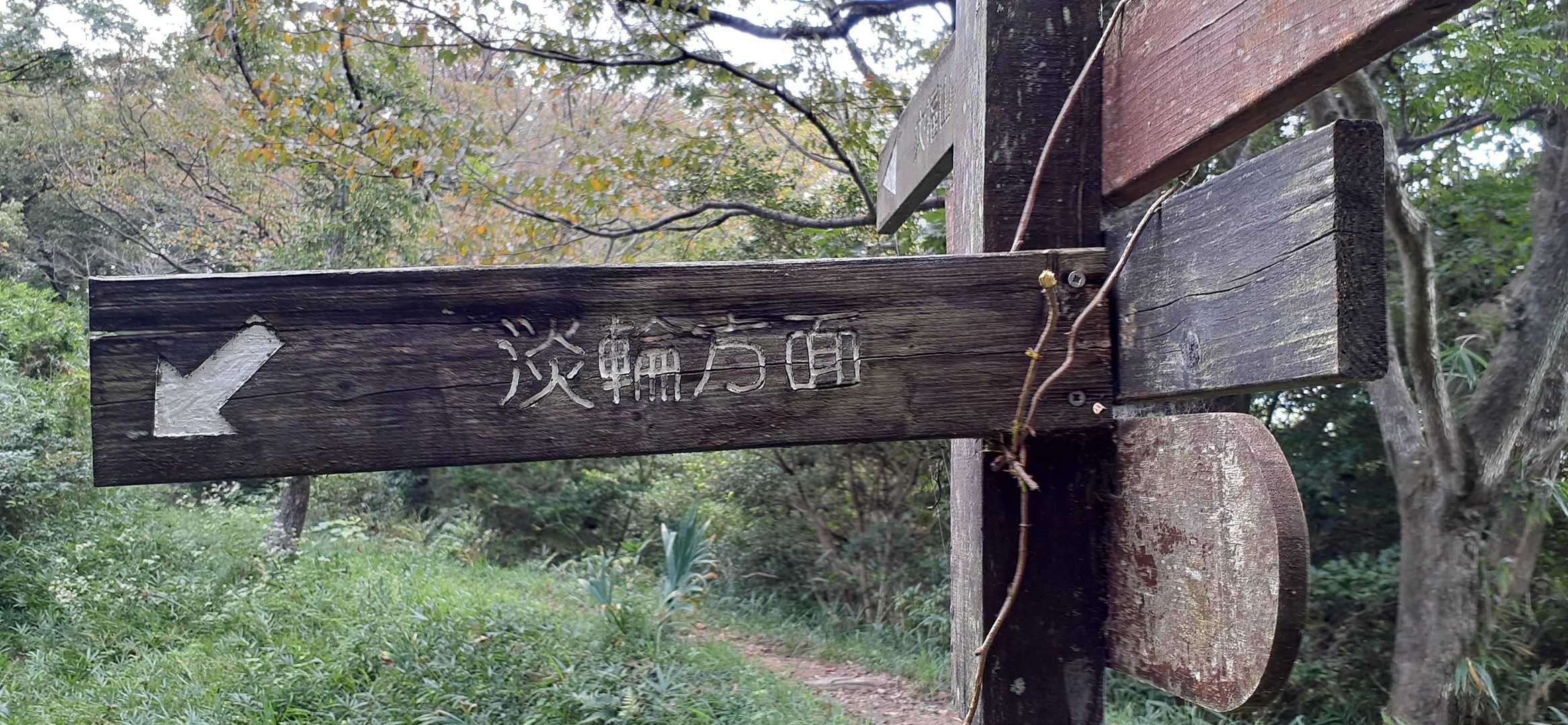 奥辺峠-大福山 往復コースの写真
