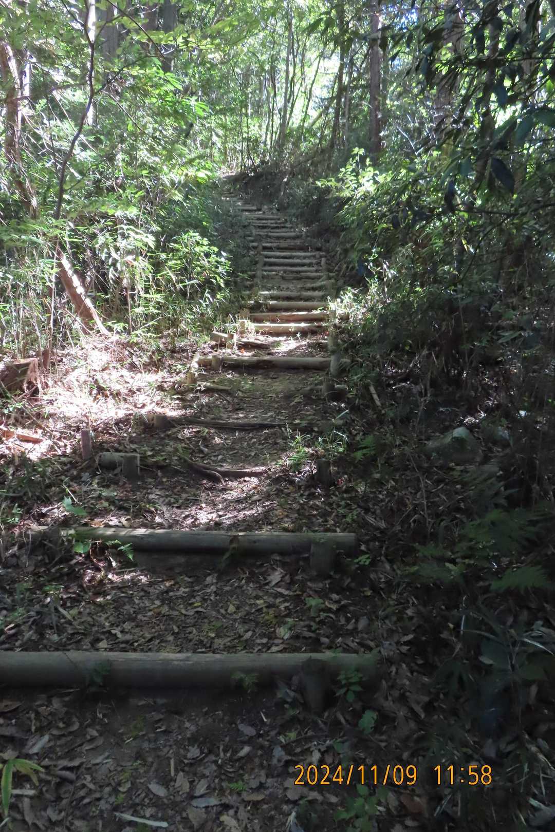 気持のええ途ですが東海自然歩道みたいな階段が延々と続きます😮‍💨