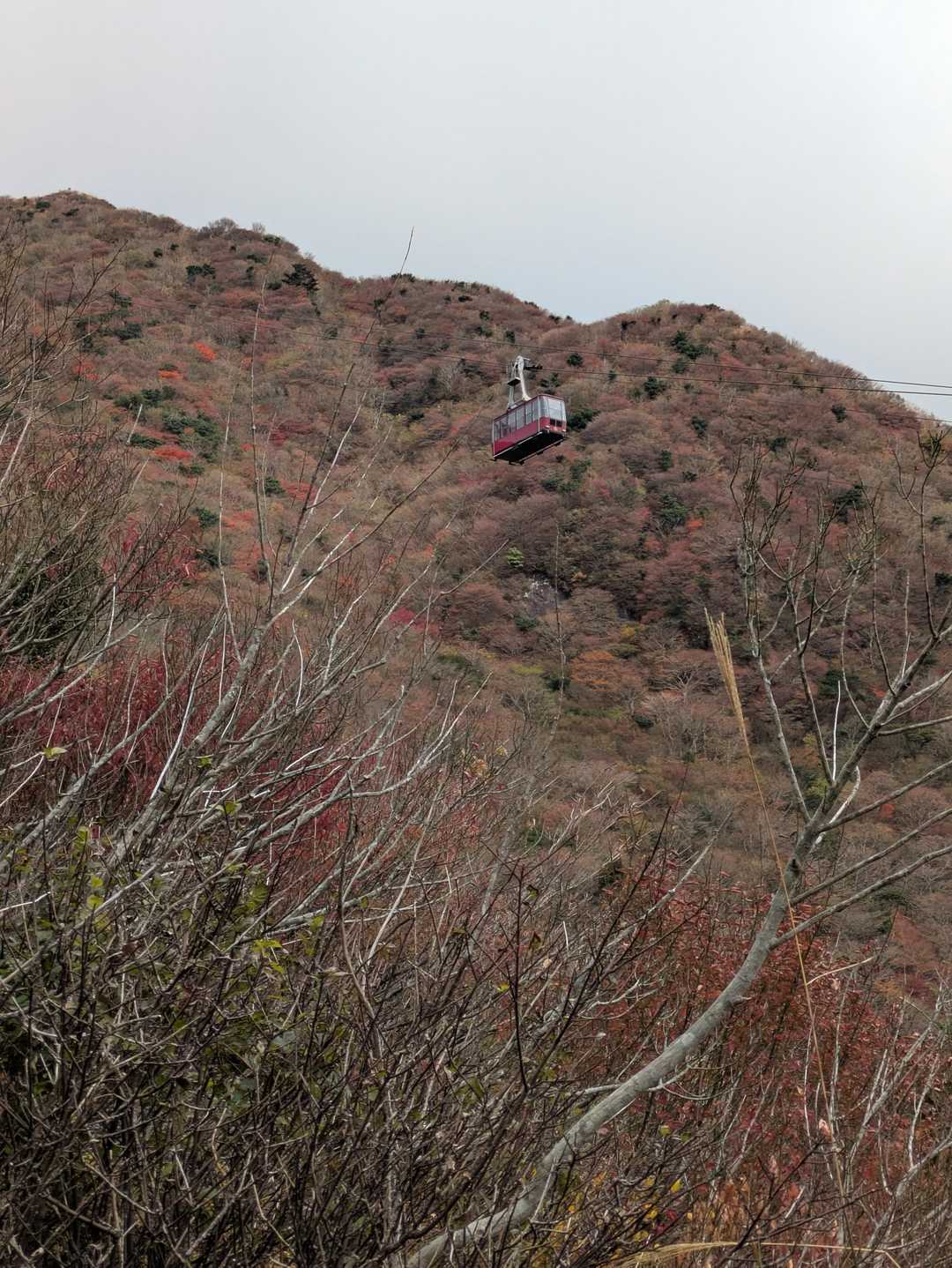 仁田峠登山口-妙見岳-国見岳 往復コースの写真
