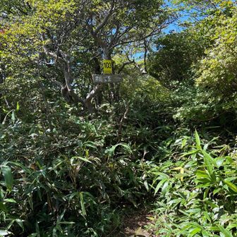 南月山から黒尾谷岳までは風も遮られ不快😖
かなりやる気を失い失速
やっとか着くも何もない、誰もいない
