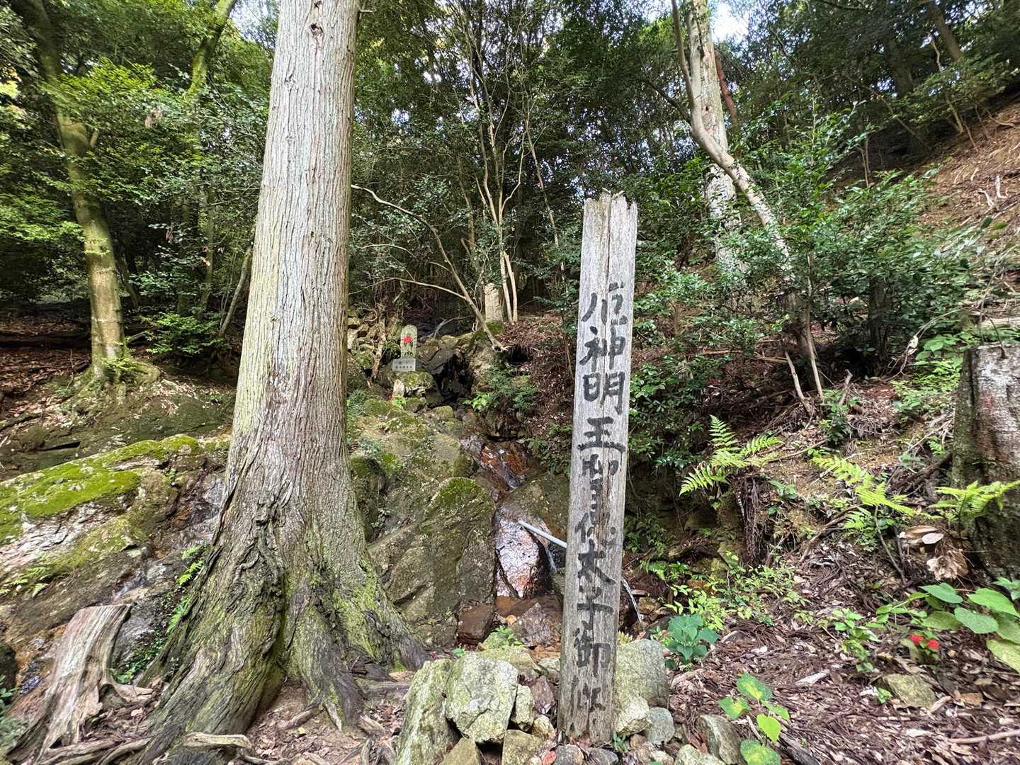 天宮塚-中山 周回コースの写真