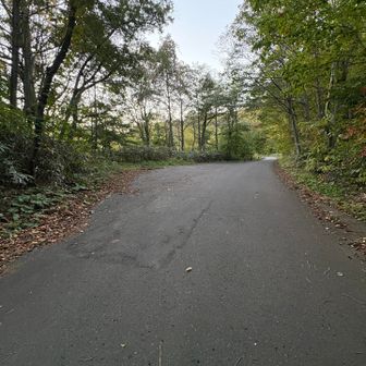 ここも路駐ができそう！
良いのかな？
混雑する高揚絶頂期とかにはスルッと駐車するのに便利な気が…