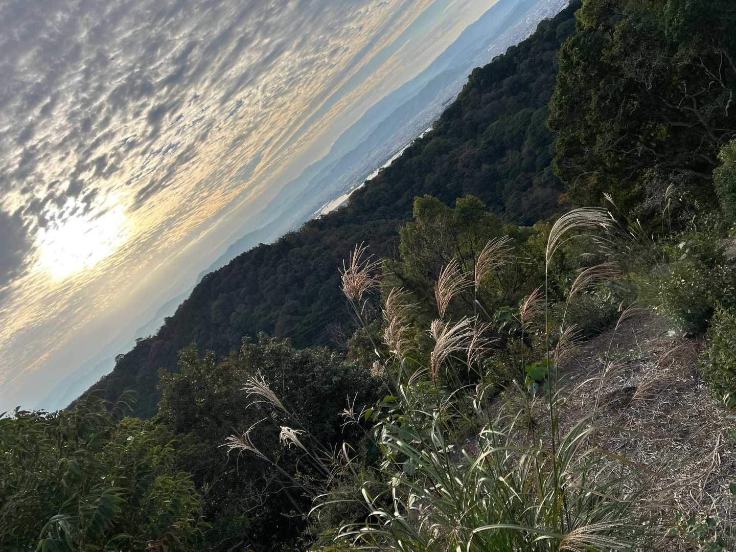 朝日とススキ🌾
綺麗😍