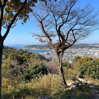 おー、ブランコ！そうそうYouTubeで見ました。あったあった、もちろん乗るでしょう😁