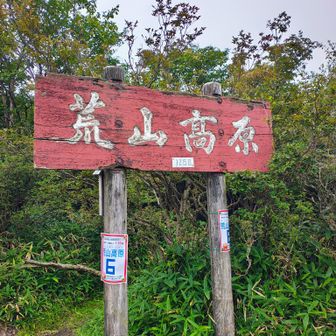 荒山高原