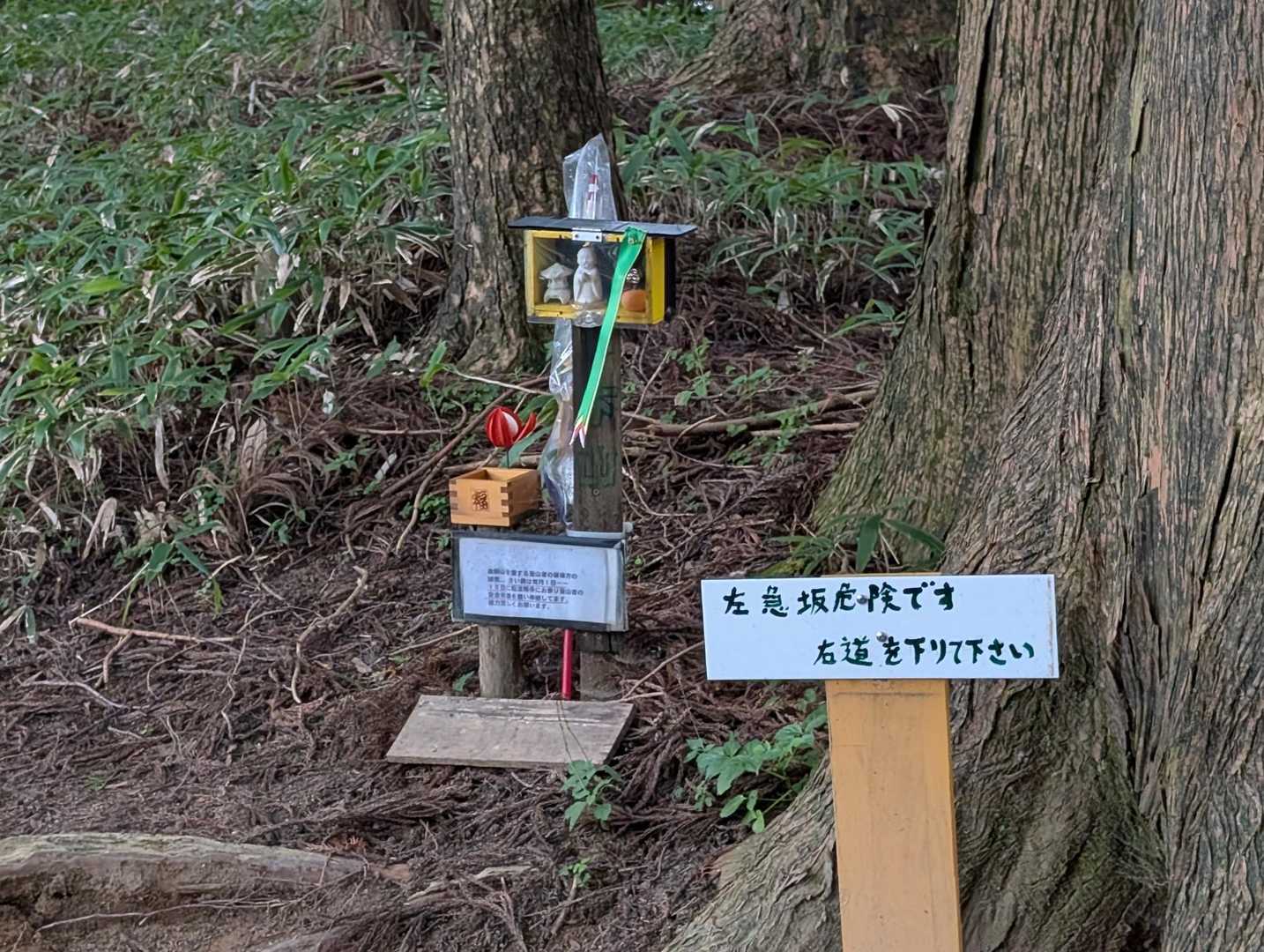 左を下る計画でしたが、やめました
こむら返りの予防に、68番飲んどきました
