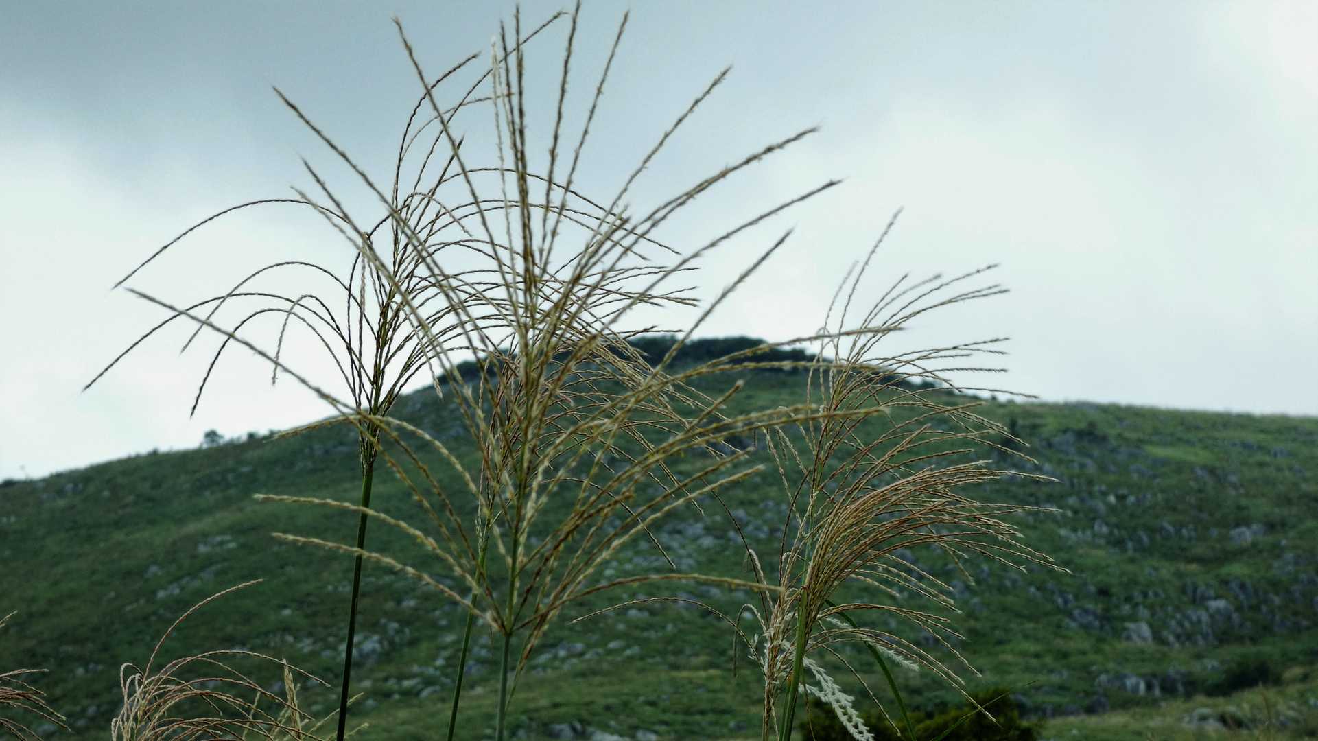 秋の気配