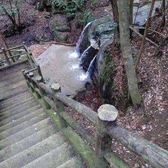 血洗あったか？
👩わからん