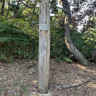 結構ボロボロ