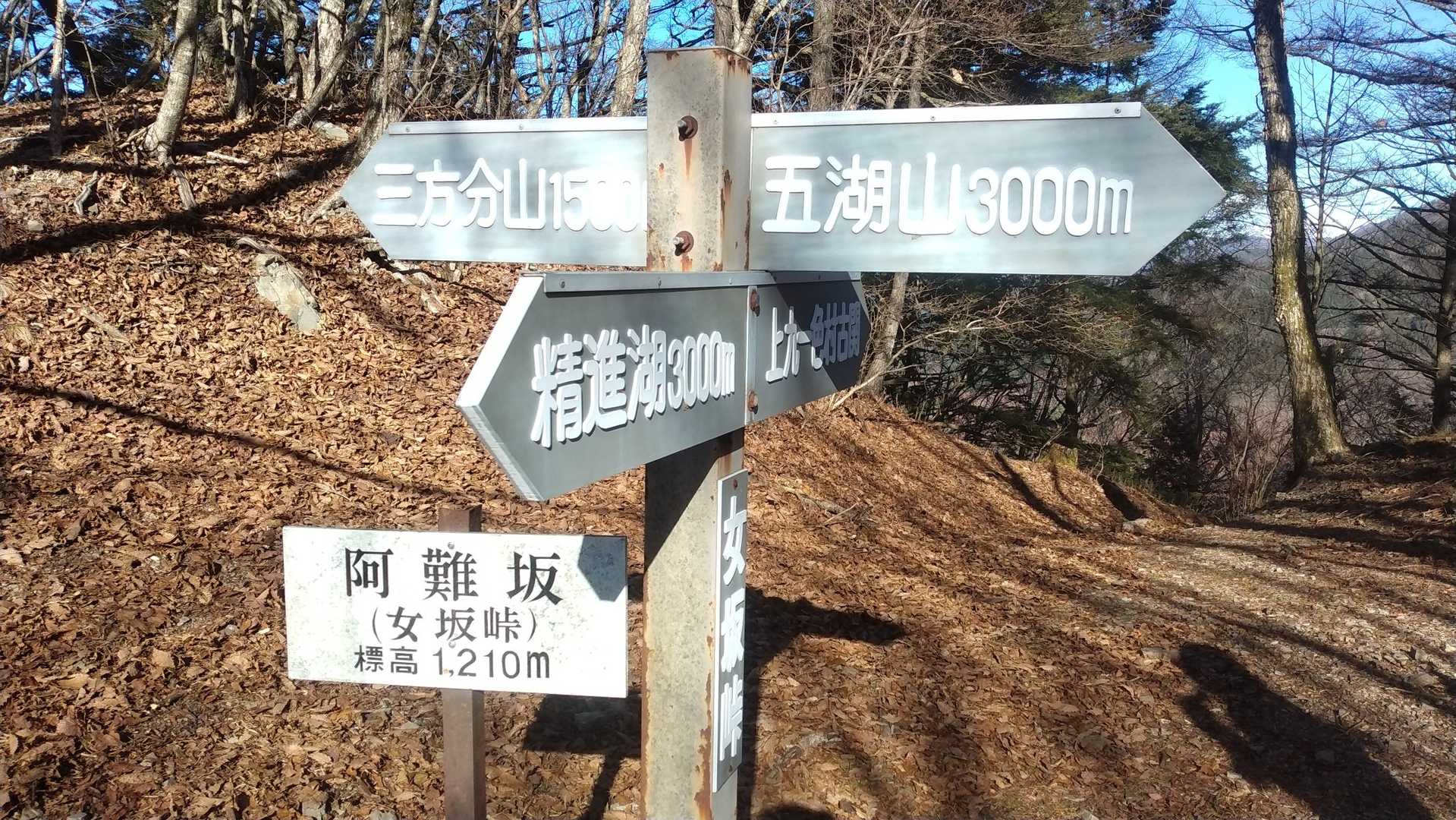 精進バス停-女坂峠-三方分山-精進峠 周回コースの写真
