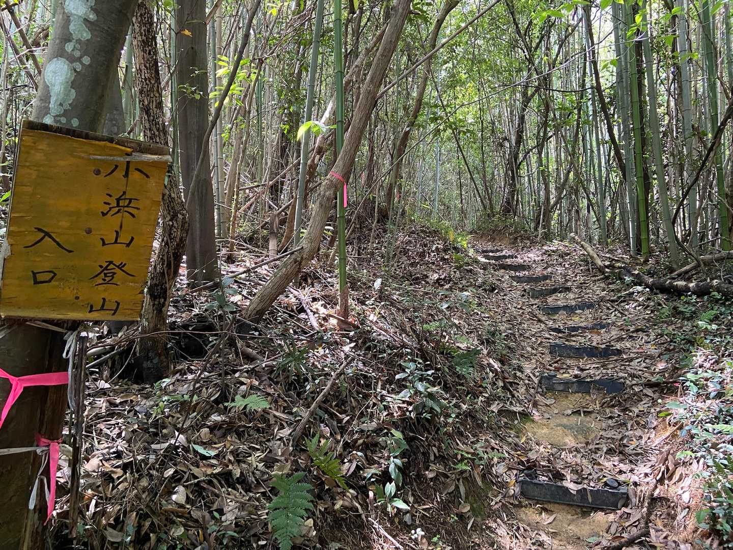 雨の後だけど登山道は思ったより乾いてて良かった！